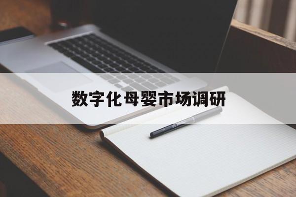 延安市数字化母婴市场调研(数字化母婴市场调研报告)